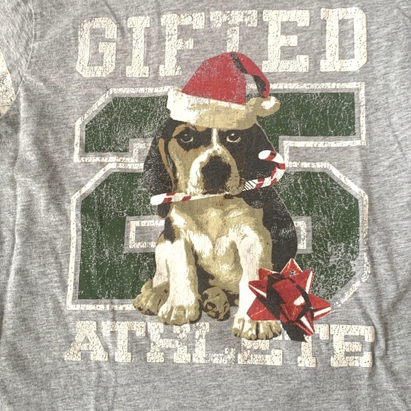 Boys 5T Christmas Dog Shirt Greendog Brand Gray Long Sleeves 100% Cotton Size 5 - Picture 2 of 3